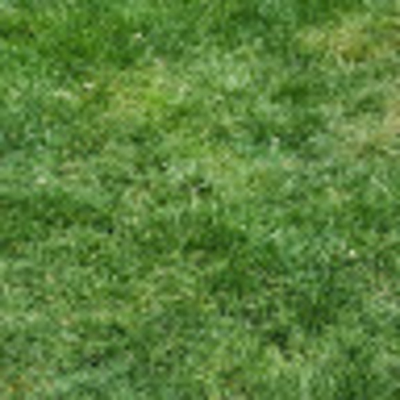 Meet your Posher, Linda - Picture 1 of 1